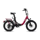 “E-BIKE CITY BUGGY 20”