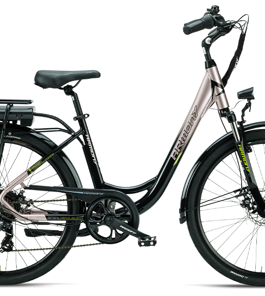 "E-BIKE FIRENZE ADVANCE"
